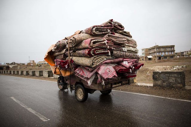 In this photograph taken on April 1, 2014, a motorcycle laden with Afghan and Iranian carpets transports them to the shops in the northwestern city of Herat. Carpets are Afghanistan's best-known export, woven mostly by women and children in the north of the country, a trade which once employed, directly or indirectly, six million people, or a fifth of the country's population, but that figure has dropped sharply. (Photo by Ehrouz Mehri/AFP Photo)