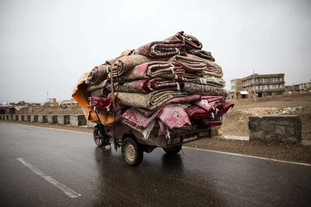 In this photograph taken on April 1, 2014, a motorcycle laden with Afghan and Iranian carpets transports them to the shops in the northwestern city of Herat. Carpets are Afghanistan's best-known export, woven mostly by women and children in the north of the country, a trade which once employed, directly or indirectly, six million people, or a fifth of the country's population, but that figure has dropped sharply. (Photo by Ehrouz Mehri/AFP Photo)