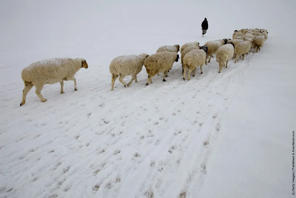 Extreme Mongolian Winter
