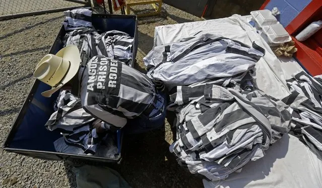 An inmate prepares prison rodeo clothes for participants at the Angola Prison Rodeo in Angola, La., Saturday, April 26, 2014. Only the prison's most well-behaved inmates get to participate, says Gary Frank, an award-winning power lifter and former professional football player who serves as the maximum-security prison's athletic director. (Photo by Gerald Herbert/AP Photo)