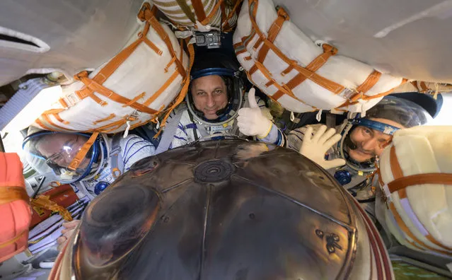 In this handout image provided by the U.S. National Aeronatics and Space Administration (NASA), Expedition 66 crew members (L-R) Mark Vande Hei of NASA, cosmonauts Anton Shkaplerov and Pyotr Dubrov of Roscosmos, are seen inside their Soyuz MS-19 spacecraft after is landed in a remote area near the town of Zhezkazgan on March 30, 2022 in Zhezkazgan, Kazakhstan. Vande Hei and Dubrov are returning to Earth after logging 355 days in space as members of Expeditions 64-66 aboard the International Space Station. For Vande Hei, his mission is the longest single spaceflight by a U.S. astronaut in history. Shkaplerov is returning after 176 days in space, serving as a Flight Engineer for Expedition 65 and commander of Expedition 66. (Photo by Bill Ingalls/NASA/Getty Images)