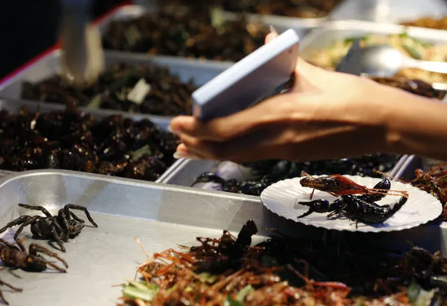 A Thai vendor shows fried insects prices to tourists with a calculator at Khao Sarn road, a spot tourist area in Bangkok, Thailand, 20 July 2013. Insects have long been on the menu in Thailand, but academics and the United Nation's Food and Agriculture Organization (FAO) officials are hoping they will become a more common global source of protein and nutrients to meet the need for growing world food requirements in the future. (Photo by Narong Sangnak/EPA)