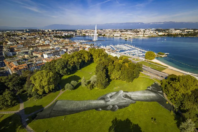 A picture taken with a drone shows a view of a giant biodegradable landart painting by French-Swiss artist Saype at the Parc de la Grange in Geneva, Switzerland, 14 September 2019. With an overall area of 5,000 square meters, the 165 meters long and 30 meters wide painting was created using biodegradable pigments made out of charcoal, chalk, water and milk proteins. Th3 art piece in the Parc de la Grange along with a second one in the Parc des Bastions marks the third step of the worldwide “Beyond Walls Project” aiming at creating the longest symbolic human chain around the world promoting values such as togetherness, kindness and openness to the world. (Photo by Valentin Flauraud/EPA/EFE)