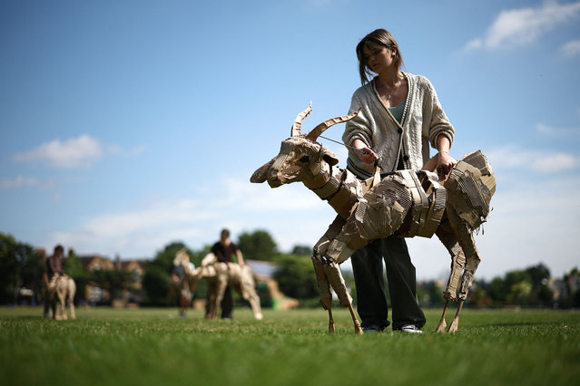 A member of the creative team holds a gazelle puppet during a photocall outside the Wimbledon College of Arts, southwest of London, on June 27, 2024 to launch “The Herds”, a new art project from The Walk Productions, which will see large groups of life-size wild puppet animals fleeing climate disaster. (Photo by Henry Nicholls/AFP Photo)