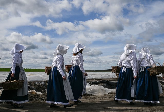 Women in traditional dresses walk through an asparagus field near Beelitz, Germany, 13 April 2023. The asparagus season officially began on 13 April with a small press event on an asparagus field of the Syringhof farm in Beelitz, near Berlin. (Photo by Filip Singer/EPA)