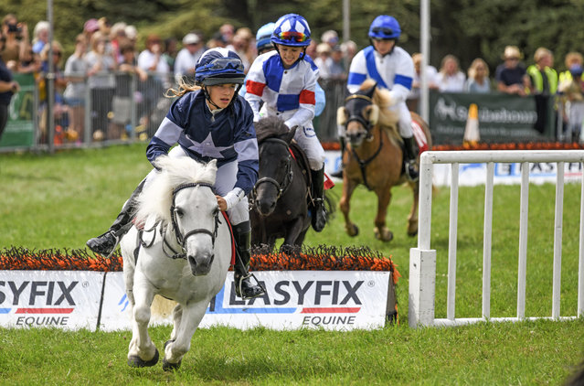 Young riders take part in the Shetland Pony Grand National during the 2024 Game Fair at Blenheim Palace, Oxfordshire on July 26, 2024. (Photo by The Game Fair/Solent News)