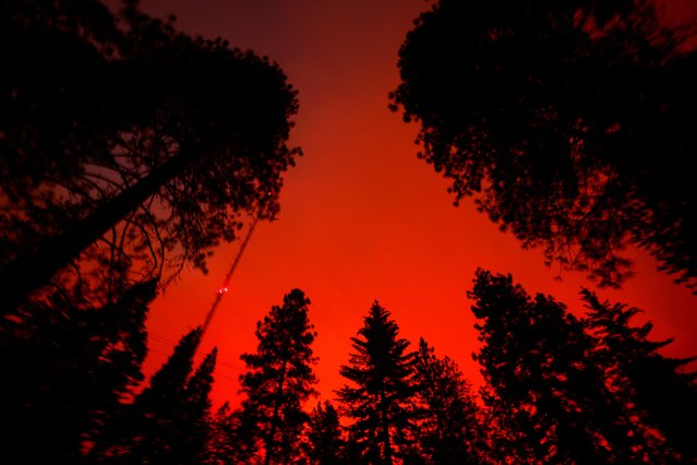 Glow from Park Fire burns seen along Cohasset Road near Chico, California, U.S. July 25, 2024. (Photo by Fred Greaves/Reuters)