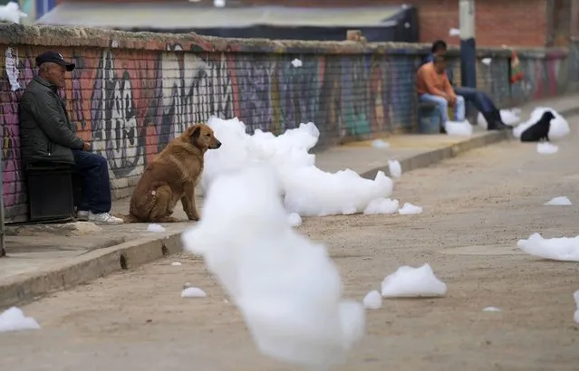 Residents and dogs sit along a street as foam rising from the Balsillas River wafts over the Los Puentes neighborhood in Mosquera, Colombia, Wednesday, April 27, 2022. According to local authorities, the white, toxic foam is caused in part by untreated sewage mixing with chemicals found in household detergents. (Photo by Fernando Vergara/AP Photo)