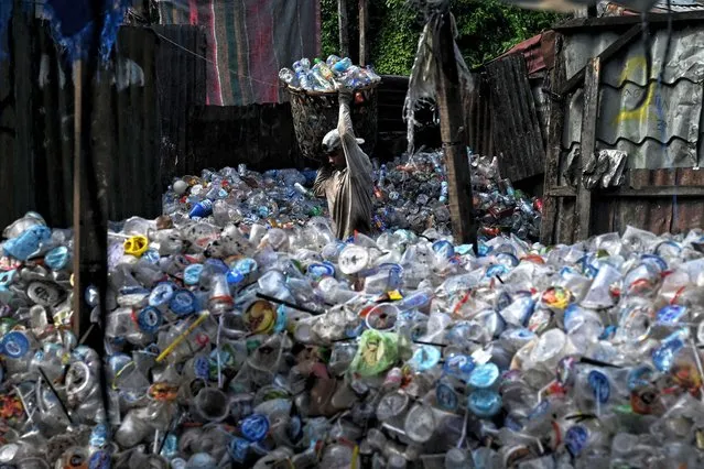 A worker collects plastic bottles to sell at a dump site in Banda Aceh on May 31, 2022. (Photo by Chaideer Mahyuddin/AFP Photo)