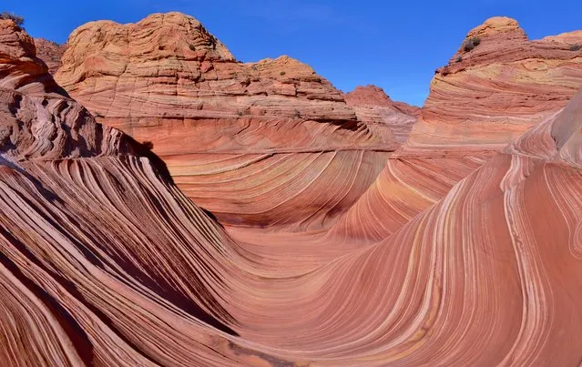 “I’ve been trying to get to this place, Coyote Buttes in Utah and Arizona, US, for many years. I finally got there in January this year. It was worth waiting for. Dreams do come true”. (Photo by Christa Lamb/The Guardian)