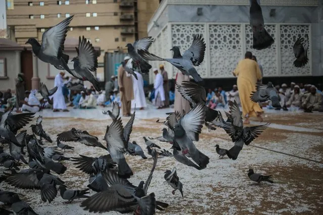 Pigeons fly around Muslim pilgrims leaving the noon prayers outside the Grand Mosque in the Muslim holy city of Mecca, Saudi Arabia, Tuesday, September 15, 2015. Despite the crane accident on Friday, almost one million pilgrims have arrived ahead of the hajj, as of Tuesday. (Photo by Mosa'ab Elshamy/AP Photo)
