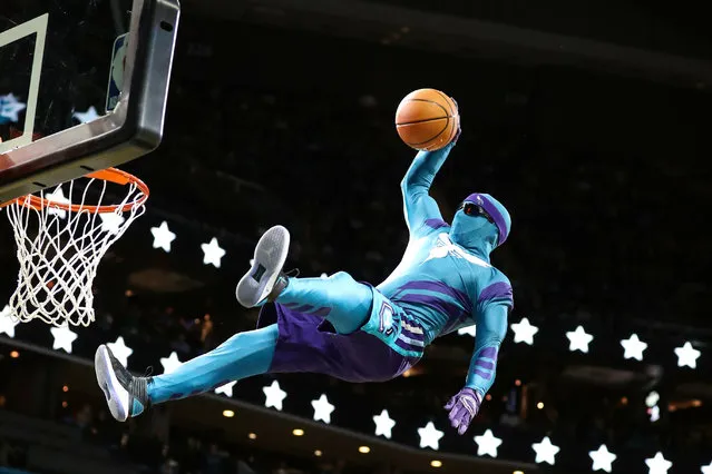 Charlotte Hornets mascot makes a dunk during a break in the second half against the LA Clippers at Spectrum Center in Charlotte, NC, USA on November 18, 2017. (Photo by Jim Dedmon/USA TODAY Sports)