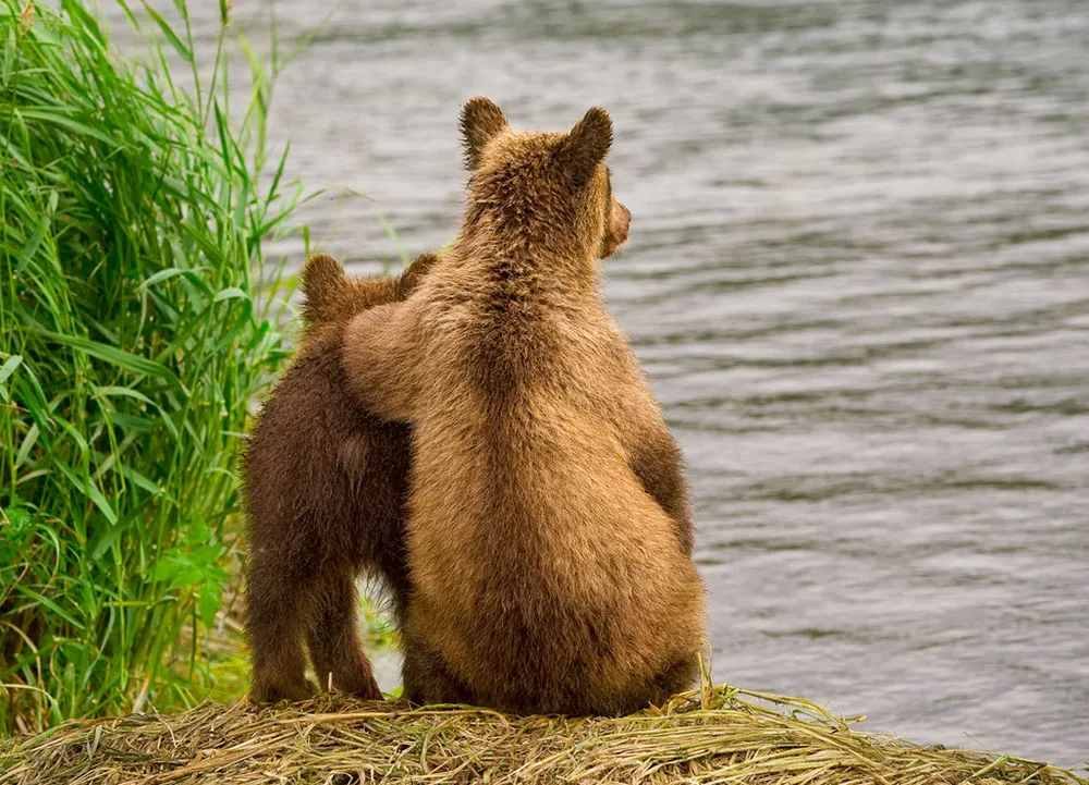 Some More Kamchatka Photos – by Sergey Ivanov