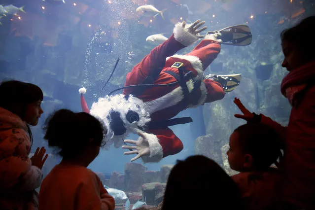 Children watch a diver dressed in a Santa Claus costume as he swims with fishes in the Aquarium of Paris on December 22, 2017 in Paris, France. To celebrate the end of year celebrations at the Aquarium of Paris, Santa Claus plunges into the aquarium surrounded by exotic fish.  (Photo by Chesnot/Getty Images)