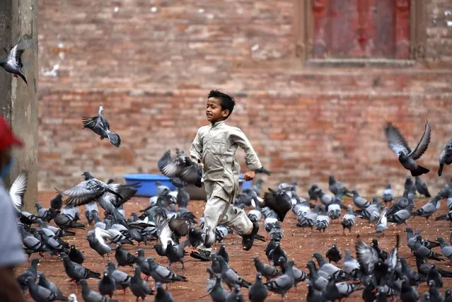 A little kid playing with Pigeons around UNESCO world heritage sites, Kathmandu, Nepal on Friday, July 24, 2020.  (Photo by Narayan Maharjan/NurPhoto via Getty Images)