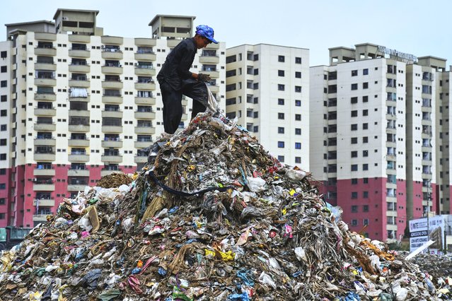 A boy searches for recycle items from a pile of garbage at dump site on World Environment Day, in Karachi, Pakistan, Thursday, June 5, 2025. (Photo by Ali Raza/AP Photo)