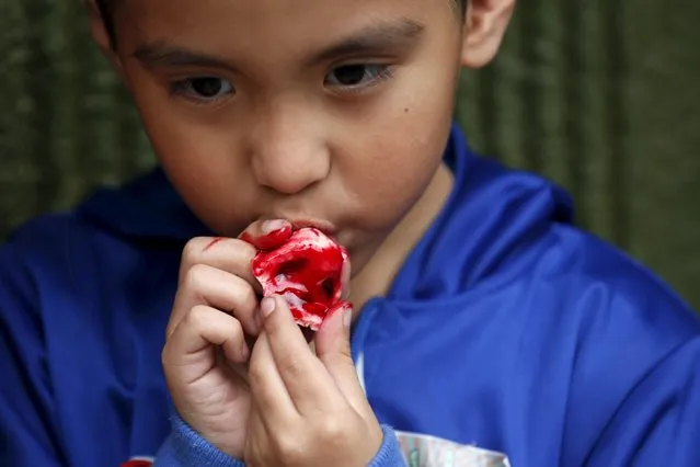 Logan Rios, 5,  eats a bloody ear made of gummy candy and red jelly at the Zombie Gourmet homemade candy manufacturer  on the outskirts of Mexico City October 30, 2015. (Photo by Carlos Jasso/Reuters)