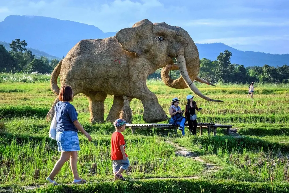 A Look at Life in Thailand