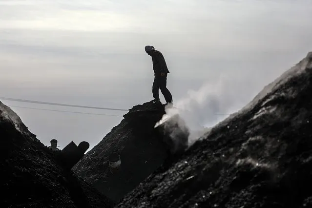 A Palestinian charcoal worker extracts coal at Al-Hattab production facility near the border, in the Gaza Strip, 26 January 2021. Al-Hattab charcoal-making facility is the largest producer in the Gaza strip. Eight men work throughout the year, especially during winter and holiday periods when coal is in high demand. While workers cut down various types of trees, the citrus tree is very useful and the most expensive but the Al-Hattab workers don't focus on only one type of wood and work also with Elkinia and Olivewood. After harvesting the trees, workers shape the wood into a pyramid that is buried beneath the sand. The pyramid is set on fire, and it burns from the inside for several days. During this period, workers must control the burning by regularly moistening the pyramid with water. When the fire has subsided, the sand is cleared, leaving the burned wood exposed for 6 days. The workers are then able to harvest and clean the raw charcoal. The facility produces 80 to 90 tons of charcoal annually. At the end of the production process, customers can purchase bags of charcoal directly from the factory. One kilo is sold for US $ 1,50 on-site and US$2.50 in the markets. (Photo by Mohammed Saber/EPA/EFE)