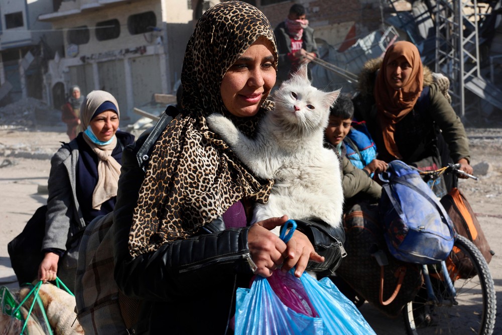 Pictures of the Year 2024, Part 223/2406