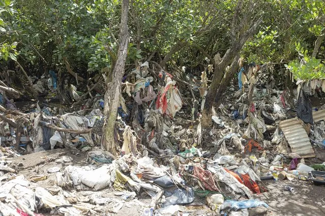 This photograph taken on May 1, 2023 shows waste in a mangrove in Majicabo, Koungou, on the island of Mayotte. (Photo by Patrick Meinhardt/AFP Photo)