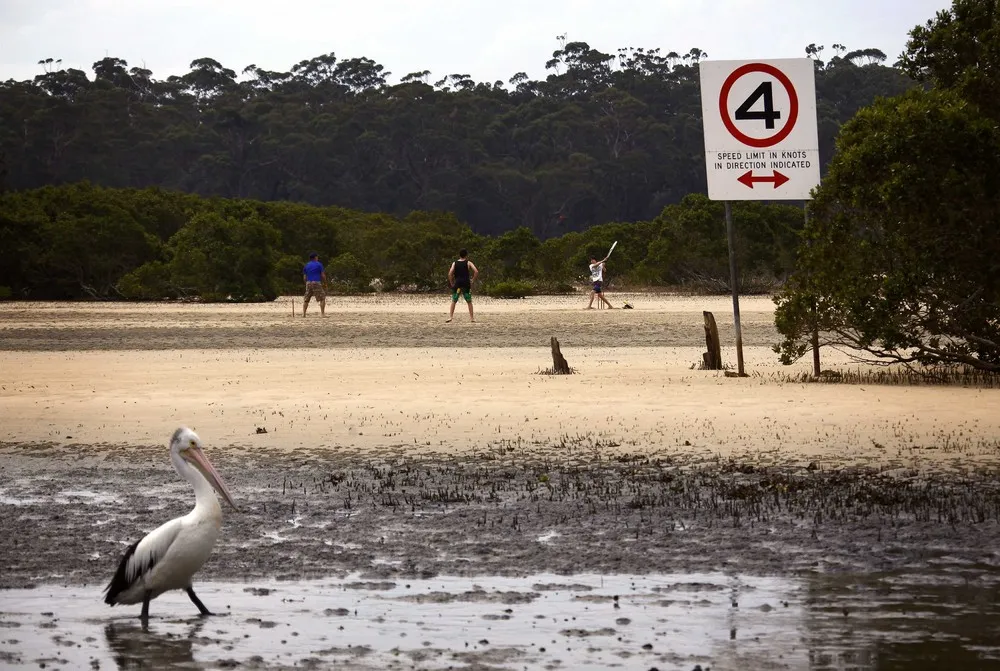 The Week in Pictures: February 6 – February 13, 2015. Part 5/7