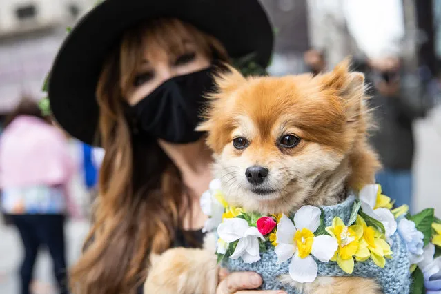 A woman holds a dog in costume during the Easter Bonnet parade on Fifth Avenue in midtown on April 4, 2021 in New York City. The annual Easter Parade and Bonnet Festival on Fifth Avenue is going virtual for the second year, while COVID-19 safety protocols will be in place for Sunday's Mass at Saint Patrick's Cathedral. (Photo by Jeenah Moon/Getty Images)