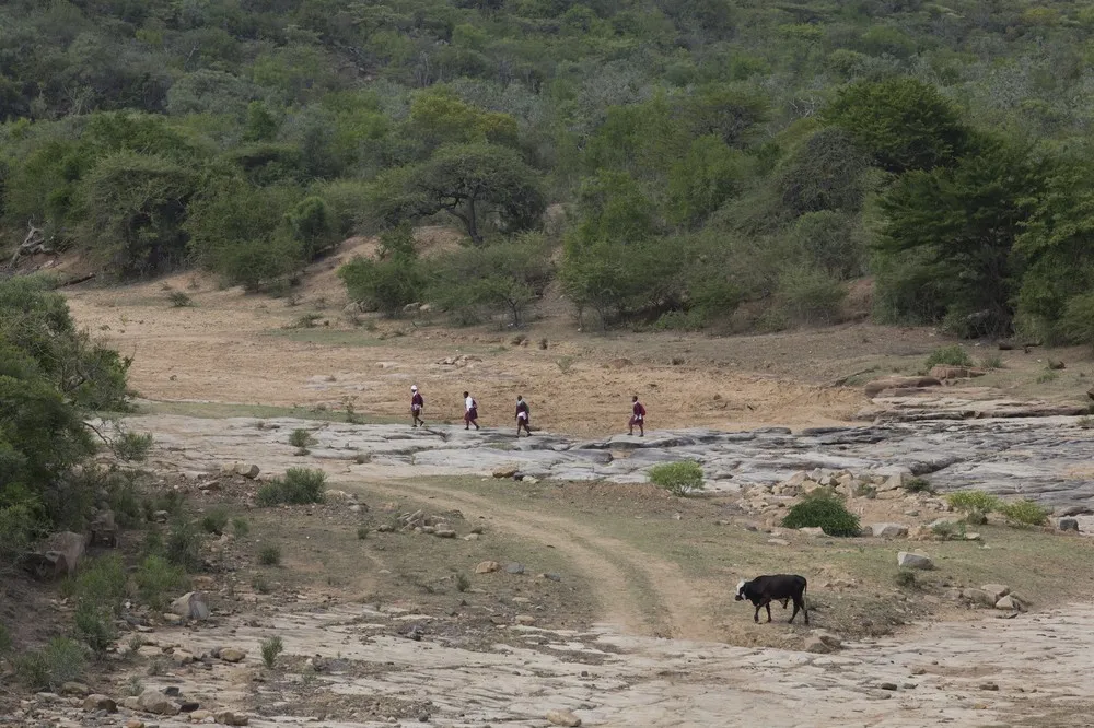 El Niño Worsens Drought in Southern Africa