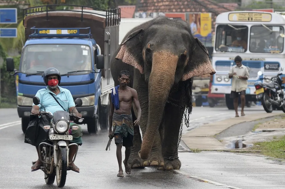 A Look at Life in Sri Lanka