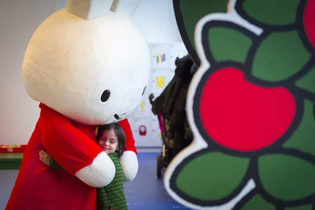 A Nijntje (Miffy) figure hugs a child during the official reopening of the “Nijntje Museum” (Miffy Museum) in Utrecht, The Netherlands, 05 February 2016. Miffy is a small female rabbit character created by Dutch author and illustrator Dick Bruna. The museum has replaced the closed Dick Bruna House. (Photo by Lex van Lieshout/EPA)
