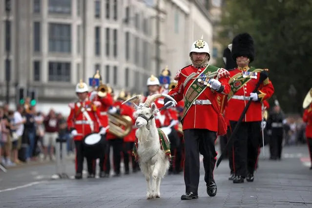 Battalion of the Royal Welsh, supported by the Band of the Royal Welsh, march with their mascot ahead of the proclamation ceremony for Britain's King Charles, following the death of Britain's Queen Elizabeth, at Cardiff Castle in Cardiff, Wales, Britain on September 11, 2022. (Photo by Molly Darlington/Reuters)