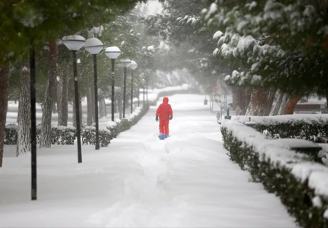 A boy walks under snow-covered trees during a snowfall in Istanbul, Turkey, January 7, 2017. (Photo by Osman Orsal/Reuters)
