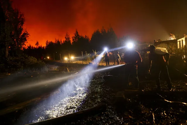 In this Sunday, January 29, 2017 photo, a resident wets down the ground surrounding his home, threatened by a nearby wildfire in Portezuelo, Chile. Residents of some communities have been battling the fires themselves, without any protective gear and often using just branches or bottles of water in a frantic effort to save their homes, pasture and livestock. But those efforts are often undone as winds or smoldering ash spread the fires anew. (Photo by Esteban Felix/AP Photo)
