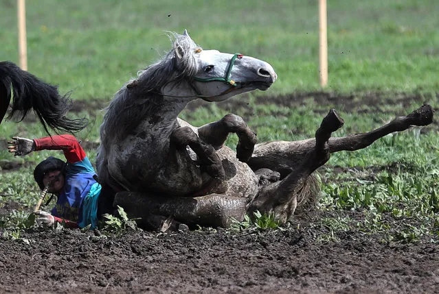 A horseman falls down while playing Kokpar, a traditional game between two teams competing to throw a dummy of a goat into a scoring circle, during the first Asian Equestrian Championship near Almaty, Kazakhstan on April 17, 2019. (Photo by Pavel Mikheyev/Reuters)