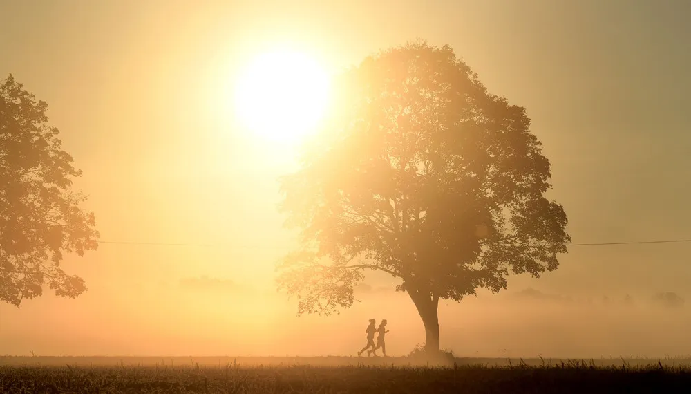 Some Photos: Silhouettes