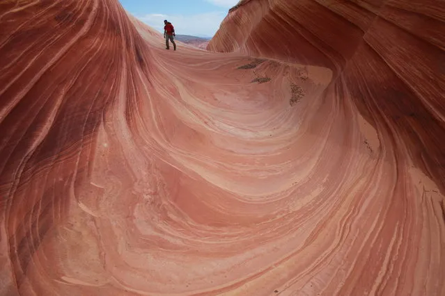 This May 28, 2013 file photo shows a on a rock formation known as The Wave in the Vermilion Cliffs National Monument in Arizona. A new proposal could mean bigger crowds at one of the most exclusive hiking spots in the southwestern United States. The Bureau of Land Management proposed changes Wednesday, May 8, 2019, that would increase daily visitor limits from 20 people to 96 people per day at The Wave, a popular rock formation near the Utah-Arizona border. (Photo by Brian Witte/AP Photo/File)