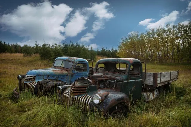 1941 Chevrolet 1.5 tonnes are left to rot in a field. (Photo by Robert Kahl/Mediadrumworld)