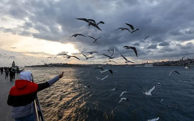 A man feeds seagulls as he walks along the Bosphorus in Istanbul, Turkey, November 24, 2021. (Photo by Umit Bektas/Reuters)