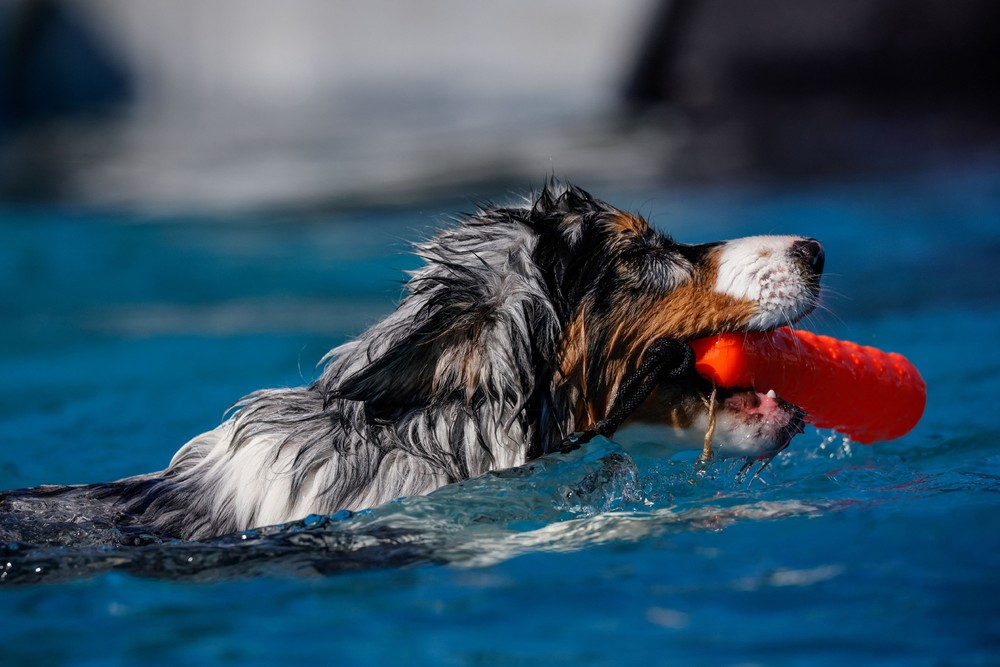 USA last Week, Part 2/2