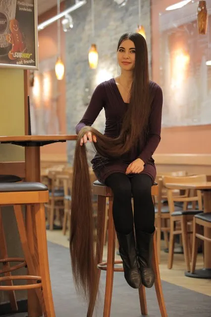 Aliia Nasyrova holding her 90 inch hair up on March 5, 2017 in Riga, Latvia. (Photo by  Eduard Kolik/Barcroft Media)