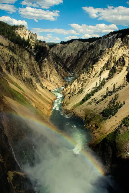 “Grand Canyon of the Yellowstone”. A rainbow forms in the mist of the falls overlooking the Grand Canyon of the Yellowstone. Photo location: Grand Canyon of the Yellowstone, Wyoming. (Photo and caption by Colin Presnell/National Geographic Photo Contest)