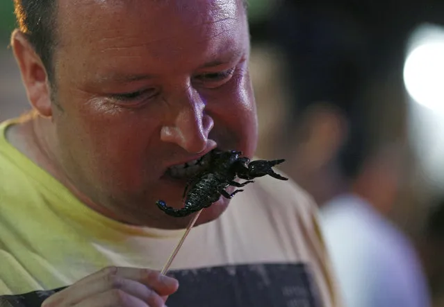 A foreign tourist eats a fried scorpion insect at Khao Sarn road, a spot tourist area in Bangkok, Thailand, 20 July 2013. Insects have long been on the menu in Thailand, but academics and the United Nation's Food and Agriculture Organization (FAO) officials are hoping they will become a more common global source of protein and nutrients to meet the need for growing world food requirements in the future. (Photo by Narong Sangnak/EPA)