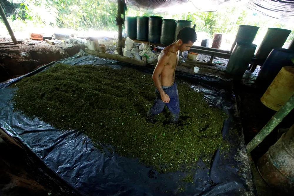 Coca as Currency in Colombia