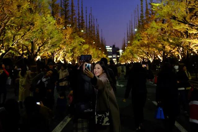 Visitors fill the street and take pictures as the bright golden ginkgos are lit up along Icho Namiki Dori, the ginkgo tree-lined boulevard, at Meiji Jingu Gaien Saturday, November 30, 2019, in Tokyo. (Photo by Kiichiro Sato)/AP Photo