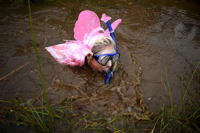 A competitor dressed in a fairy costume takes part in the 30th World Bog Snorkelling Championships in Waen Rhydd peat bog at Llanwrtyd Wells, south Wales on August 30, 2015. Entrants must negotiate two lengths of a 60-yard trench through the peat bog in the quickest possible time without using any conventional swimming strokes. (Photo by Oli Scarff/AFP Photo)