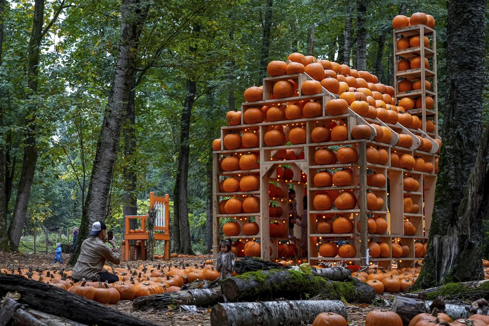 Pictures of the Year 2023, Part 185/224