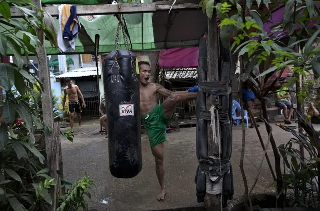 In this Tuesday, July 14, 2015, photo, Dawna Aung, a member of the White New Blood lethwei fighters club, a Myanmar traditional martial-arts club which practices a rough form of kickboxing, kicks a pole covered in used tires during a practice session in their gym on a street in Oakalarpa, north of Yangon, Myanmar. Dawna Aung, a 34-year-old father of two, hopes competing will help him change his family's life. (Photo by Gemunu Amarasinghe/AP Photo)