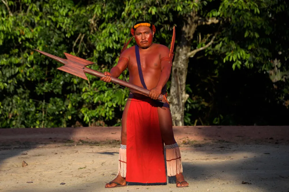 Waiapi Tribe against Amazon Invaders