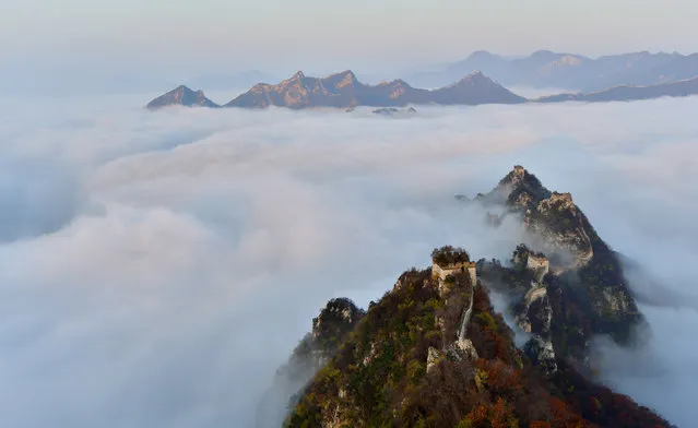 Photo taken on October 27, 2017 shows the Jiankou Great Wall in clouds in Huairou District of Beijing, capital of China. (Photo by Yang Baosen/Xinhua/Barcroft Images)