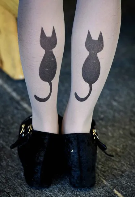 A customer arrives with cat leggings during the kickstarter opening of the Catfe (Cat Cafe) in Chinatown, Los Angeles on October 2, 2014. The cafe which allows patrons to interact with a range of cats, hopes to open permanently in the city depending on the public reaction from the kickstarter event. Similar cafes which originated in Japan are open in New York and San Francisco. (Photo by Mark Ralston/AFP Photo)